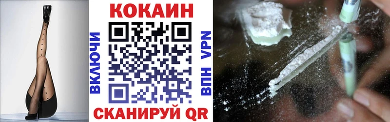 как найти закладки  Алдан  Cocaine FishScale 
